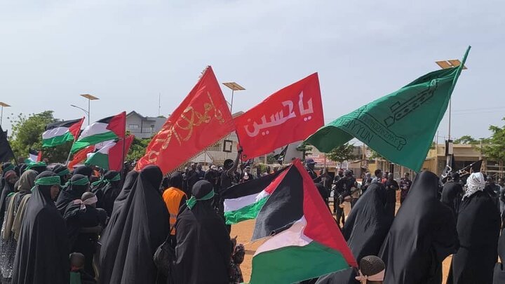 Photos: Ashura mourning ceremony held in Niger