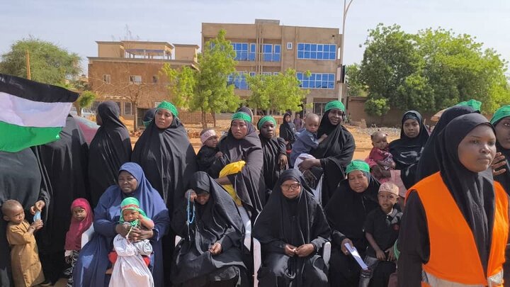 Photos: Ashura mourning ceremony held in Niger