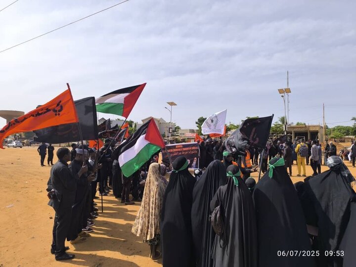 Photos: Ashura mourning ceremony held in Niger