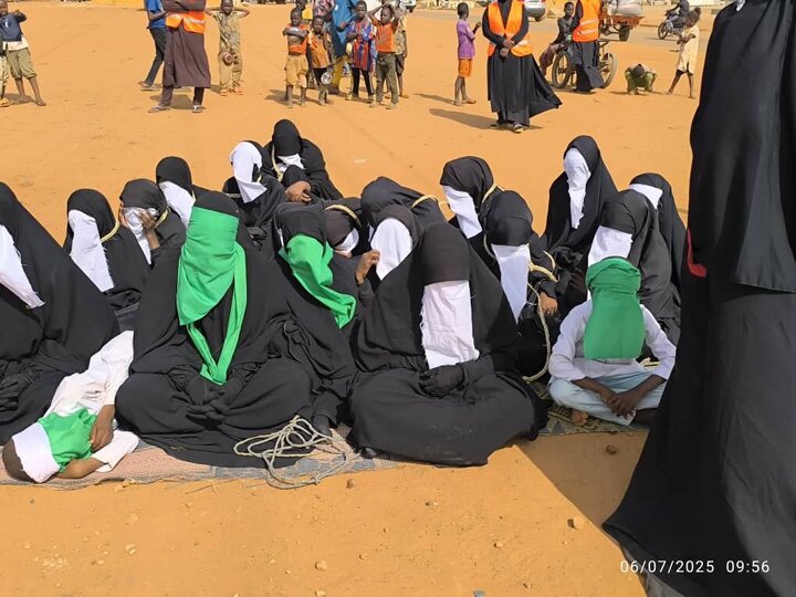Photos: Ashura mourning ceremony held in Niger