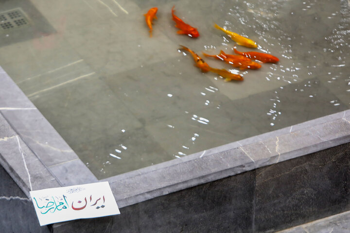 گزارش تصویری | محفل قرآنی به سوی فتح در حرم مطهر رضوی