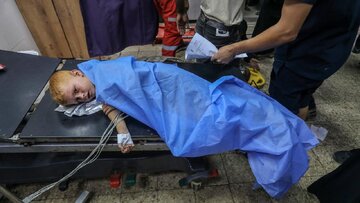Informe fotográfico | Continúan los mortales ataques del régimen sionista contra Gaza