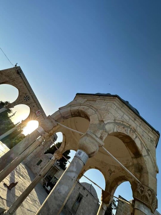 لقطات ساحرة من باحات المسجد الأقصى المبارك صباح اليوم