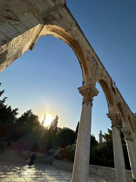 لقطات ساحرة من باحات المسجد الأقصى المبارك صباح اليوم