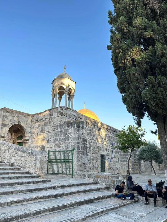 لقطات ساحرة من باحات المسجد الأقصى المبارك صباح اليوم