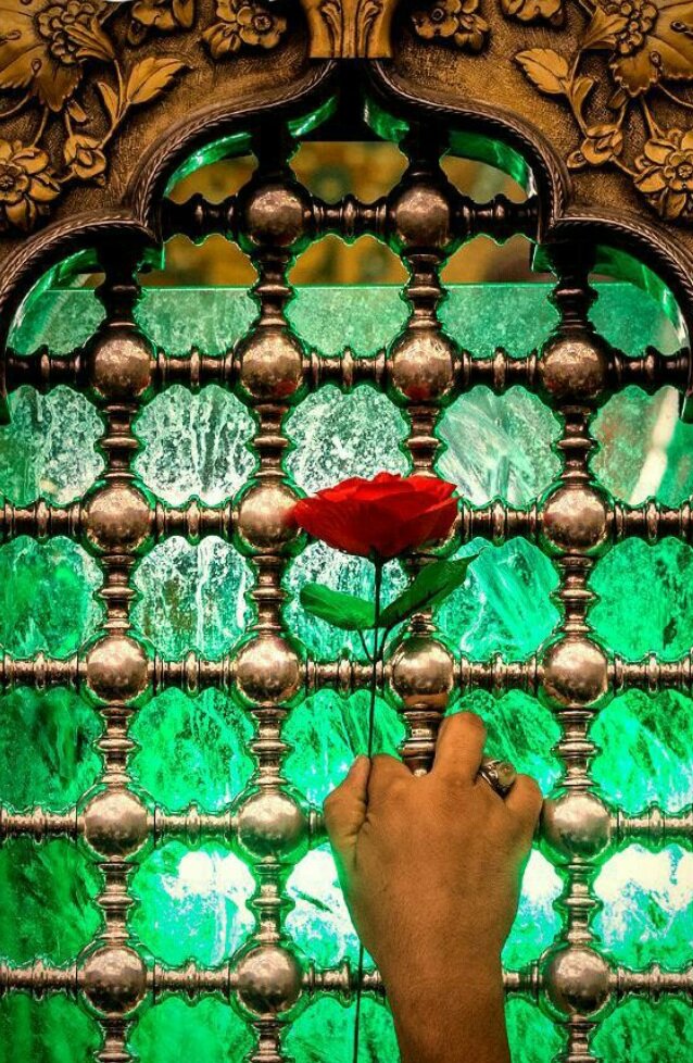 ویدیو | ثواب عظیم زیارت امام حسین(ع)