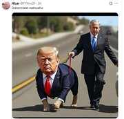 Хариҹи блоҝҝерләрин Трампын Исраиллә мүнасибәтинә реаксијалары \ ШӘКИЛЛӘР