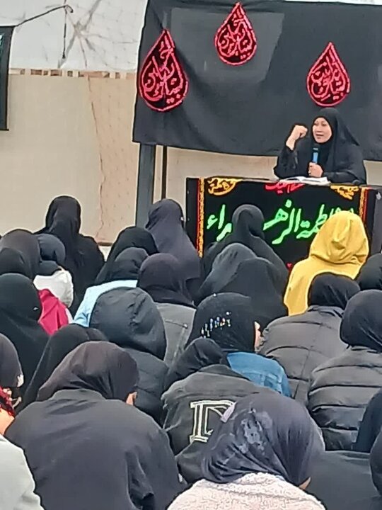 نشست نقش حضرت زینب(س) در واقعه کربلا در شهر آنتاناناریوو ماداگاسکار