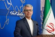 تہران: غزہ کی موجودہ صورتحال انسانی ضمیر کے بالکل بے حس ہونے کا اظہار ہے، ترجمان وزارت خارجہ