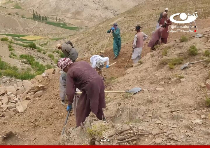 حرکت مردمی در  استان دایکندی افغانستان / شیعیان با دست خالی خیابان می‌سازند و انتظار حمایت حکومت را دارند