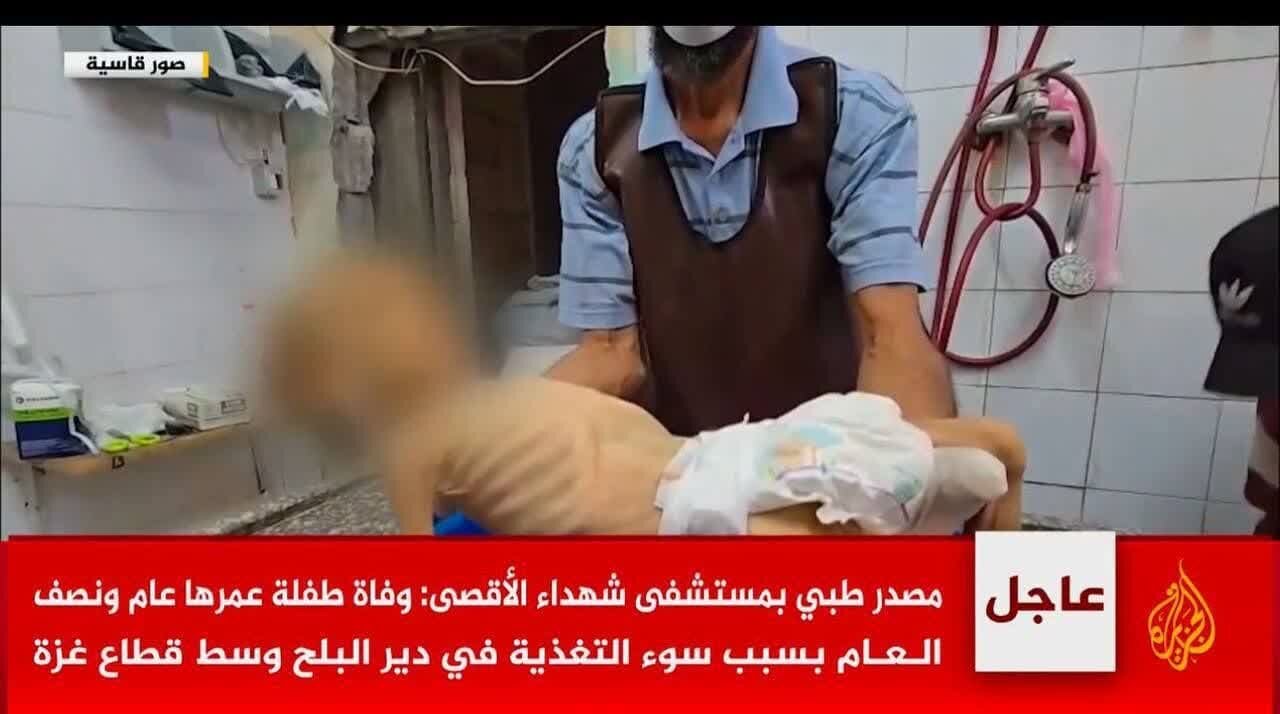 قیمت نان در غزه به قیمت جان، ضرورت راهاندازی کارزارهای عمومی تحصن در برابر سفارتخانههای غربی