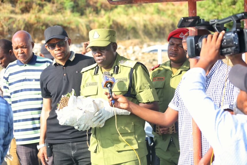 Shehena ya Mirungi kutoka Kenya Yanaswa Baharini na Polisi Tanga Katika Msako Maalum