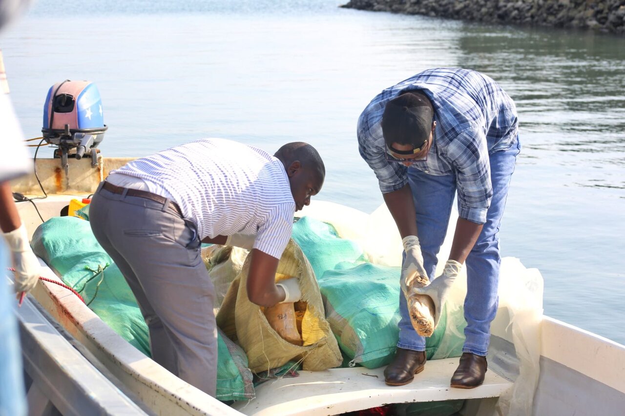Shehena ya Mirungi kutoka Kenya Yanaswa Baharini na Polisi Tanga Katika Msako Maalum