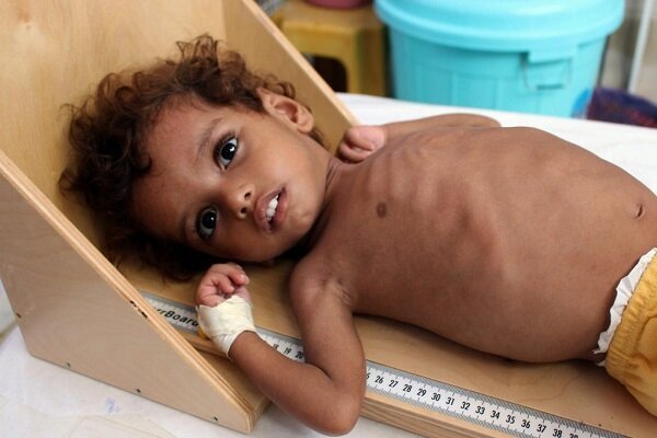 Over 100 aid groups warn of starvation crisis in Gaza