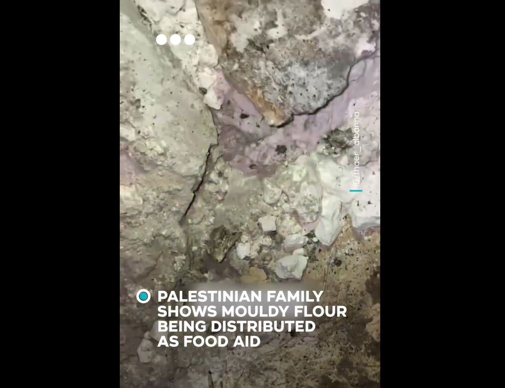 Video: Palestinian family using spoiled flour with mold and insects