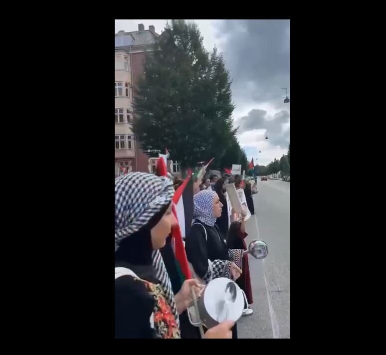 Video: Demonstration in front of Egyptian embassy in Copenhagen demanding opening of Rafah crossing