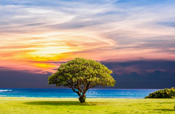 ضمانت بهشت در مقابل شش چیز