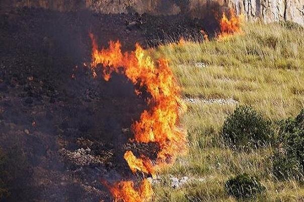 İstanbul'da orman yangını önlemi