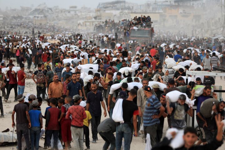 گزارش تصویری |