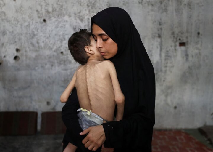 گزارش تصویری |