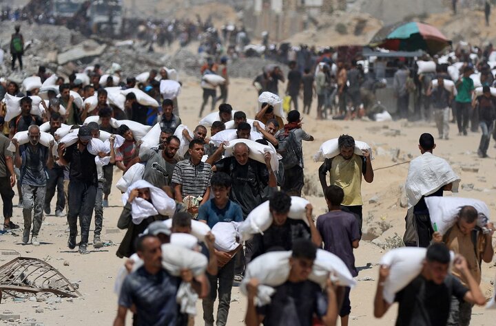 گزارش تصویری |