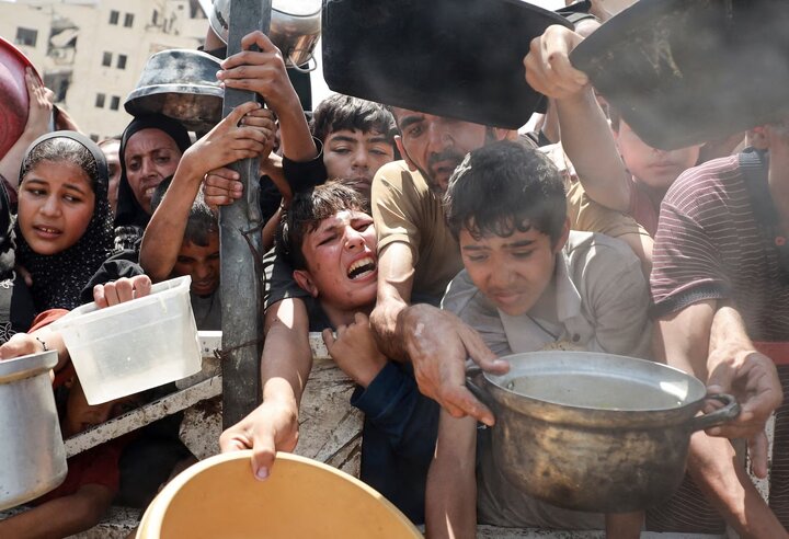 گزارش تصویری |