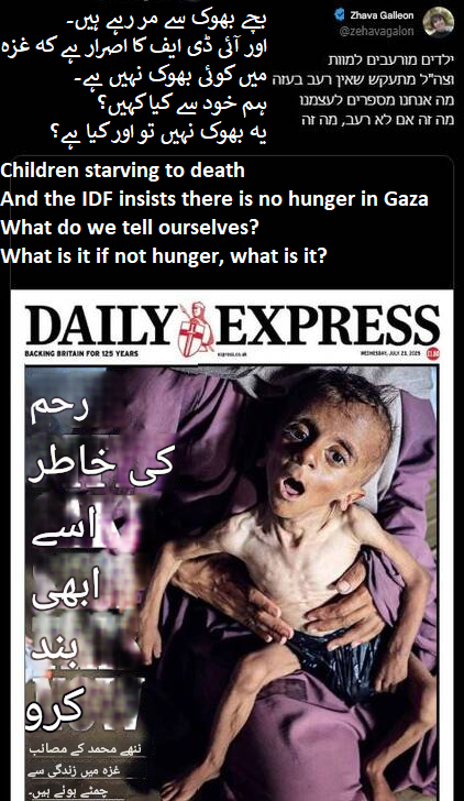 غزہ اسرائیل کی اخلاقی تجربہ گاہ / صہیونی تضادات: قحط کے خلاف احتجاج سے لے کر بھکمری کی حمایت تک + تصاویر