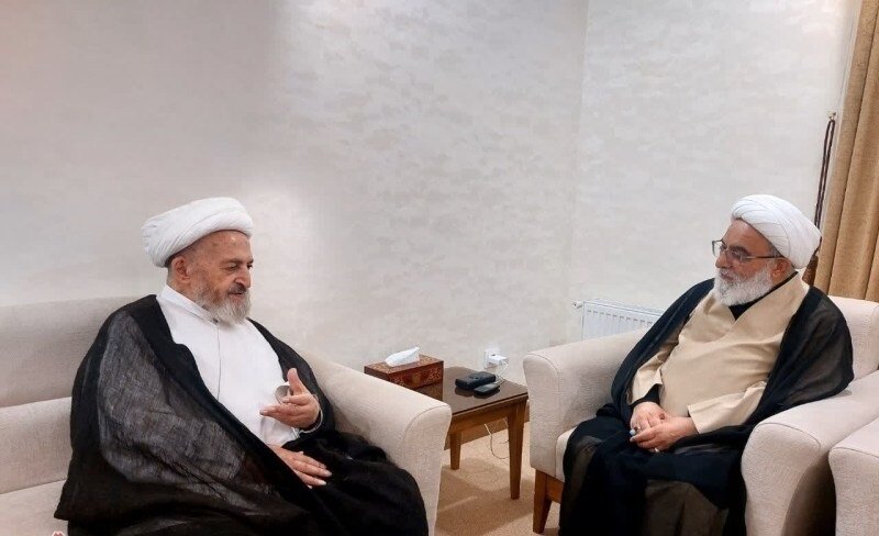 آیت‌الله سبحانی: دروس آزاد حوزه تقویت و انتخاب آزاد استاد برای طلاب تسهیل شود