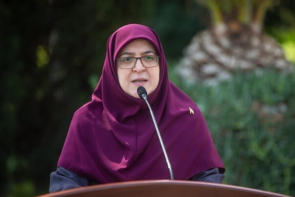 مهاجرانی:برای تسهیل سفر اربعین تقسیم‌کار شده است