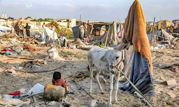 اسرائیل کا 'وائٹ سیور کمپلیکس' اور غزہ سے گدھوں کی چوری!