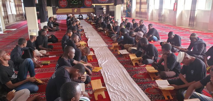 Majlis