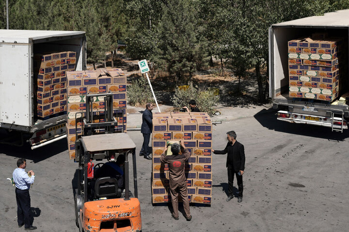 تقرير مصور/ إرسال 150 ألف سلة غذائية لزوار الأربعين