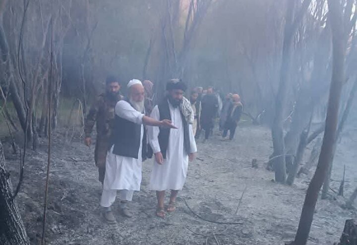 مهار آتش‌سوزی جنگل‌ها و بی‌توجهی استاندارد بامیان افغانستان به کوچ اجباری شیعیان
