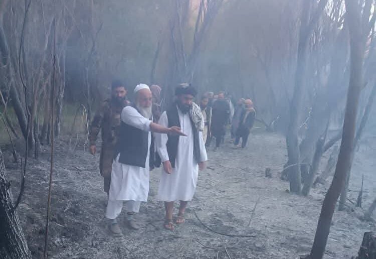 مهار آتش‌سوزی جنگل‌ها و بی‌توجهی استاندارد بامیان افغانستان به کوچ اجباری شیعیان