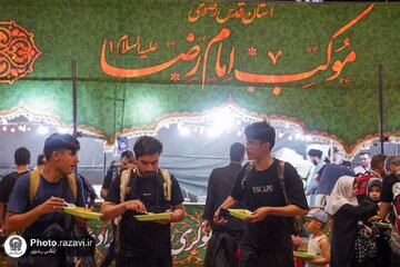 ویدیو | آمدیم برای بدرقه زائر امام حسین(ع)