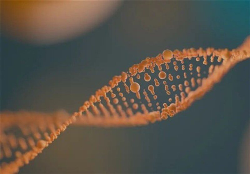 Pеволюция в сельском хозяйстве и здравоохранении благодаря новым технологиям Китая