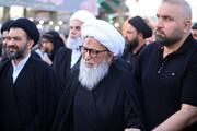 Фотоотчёт | Аятолла Башир Наджафи посетил шествие паломников на Арбаин Хусейна