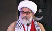 لوگ زیارات کیلئے پیدل جائیں گے، بے شک انہیں جان سے مار دیں، علامہ ناصر عباس