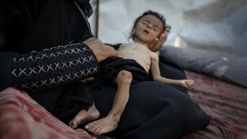 Número de palestinos mortos por fome em Gaza sobe para 222