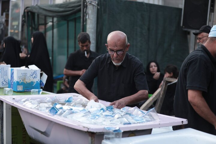 تقرير مصور/ مواكب كربلاء تبذل الطعام والشراب لزوار الأربعين الحسيني على مدار الساعة