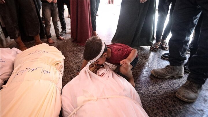 Palestinian Health Ministry: 29 killed in 24 hours, starvation deaths rise