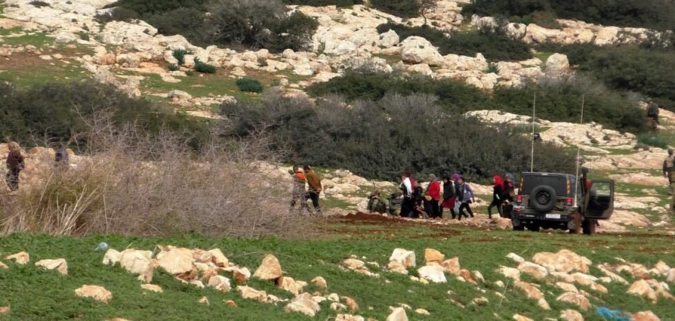 Two foreign activists injured in IOF attack in JV