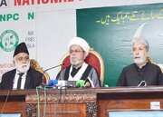 Pakistani Shia scholar condemns crackdown on Arbaeen mourners in Punjab