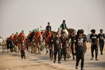 De Casa a Karbala: Leveza na Jornada do Arbaeen
