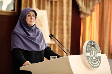 Pamahalaang Iranian: Nagpapasalamat kami sa pamahalaan at mamamayan ng Iraq sa kanilang serbisyo sa mga peregrino ng Arbaeen ni Imam Hussein (AS)