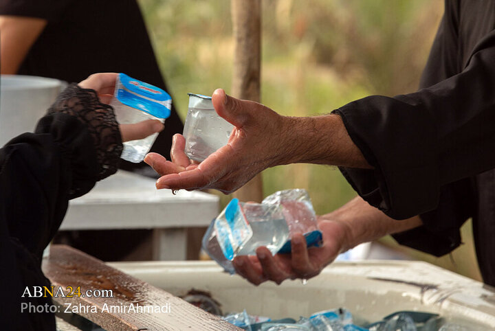 پیاده روی زائران اربعین از مسیر طریق العلما