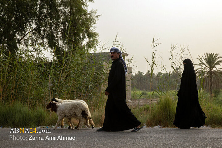 پیاده روی زائران اربعین از مسیر طریق العلما