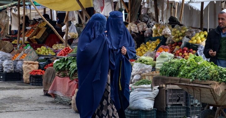 ویدئو | باغداران افغانستان در فصل برداشت و توقف صادرات و بازار کساد