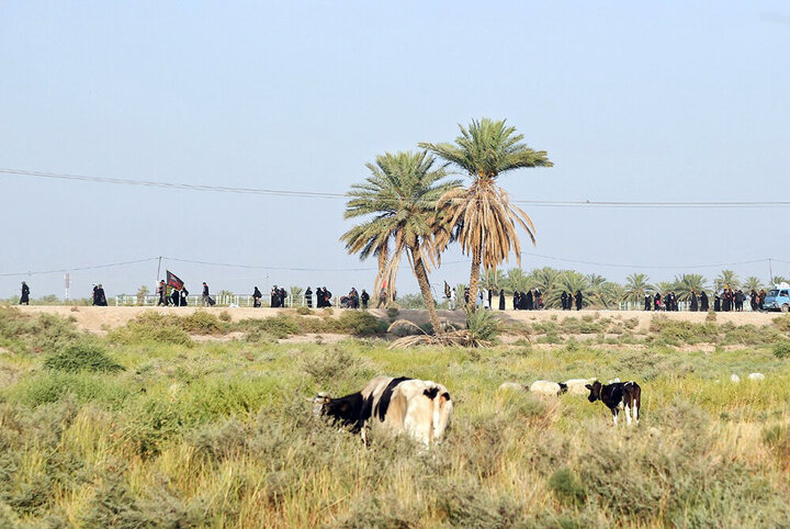 Tarikul Ulema Mesirinin Atmosferi 2025