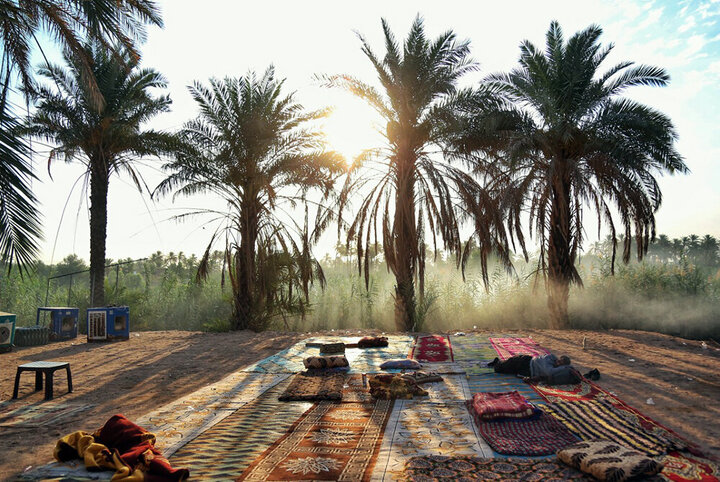 Tarikul Ulema Mesirinin Atmosferi 2025